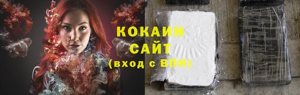 дживик Армянск