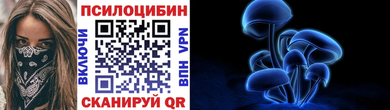 Псилоцибиновые грибы GOLDEN TEACHER  купить  цена  Новый Оскол 